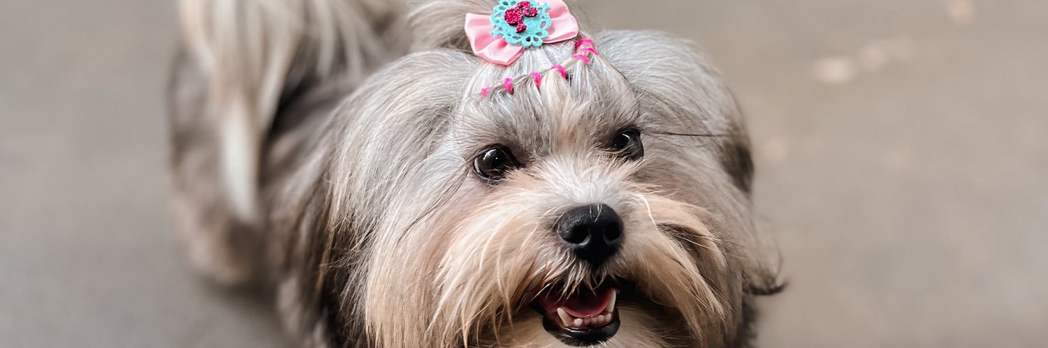 Maariaantonia2's profile banner image