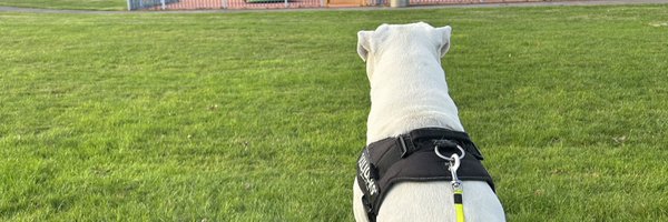 Seeley789 Profile Banner