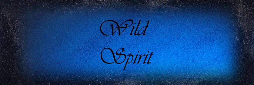 Wild__S's profile banner image