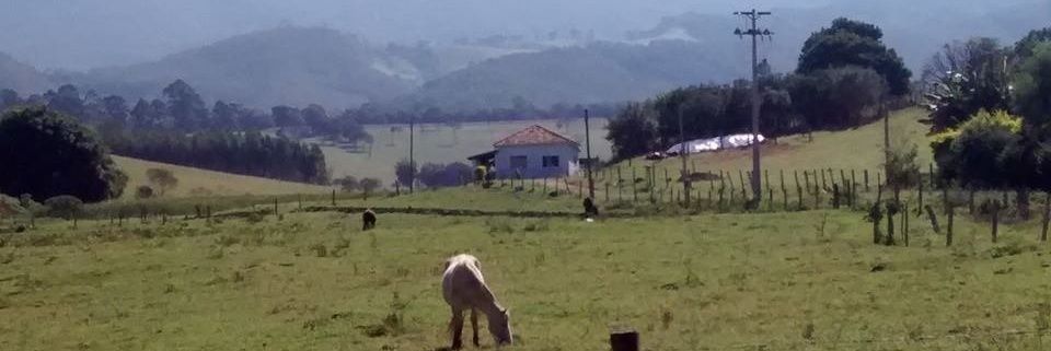 M Ribeiro banner