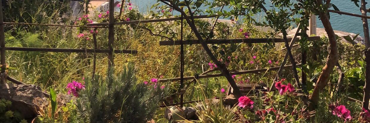 rosecolclough's profile banner image