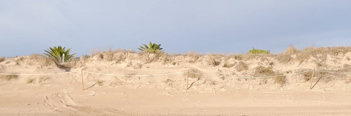 NekaneConK's profile banner image