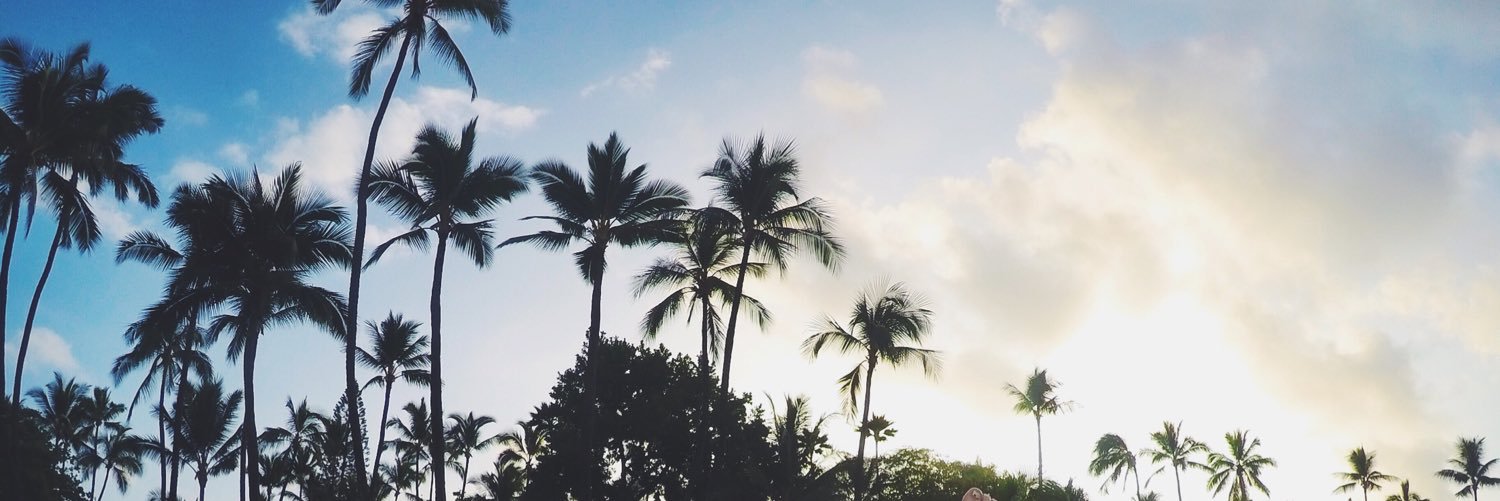 krista_dejong's profile banner image