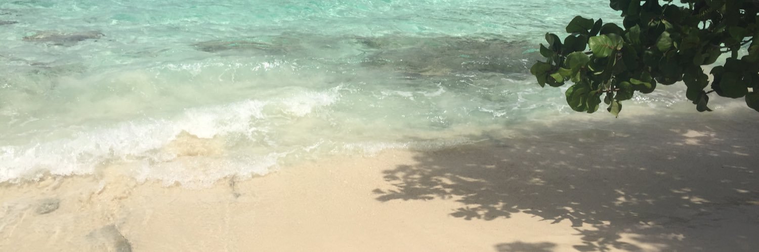 _nikkinoodle's profile banner image