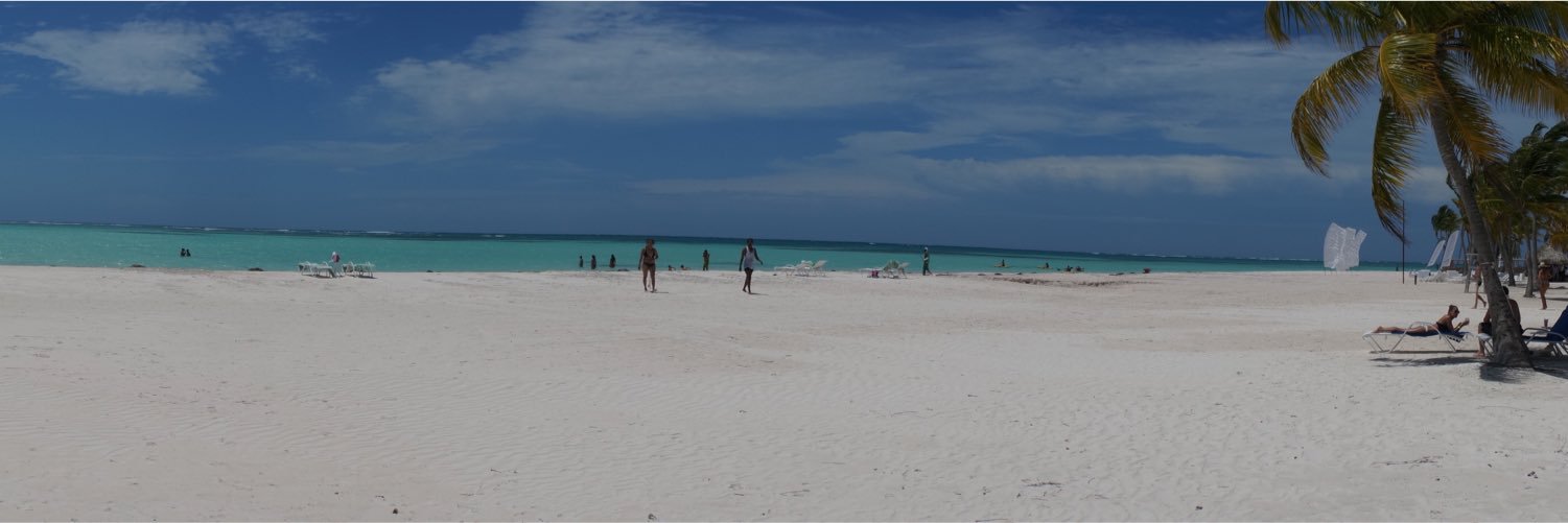 Shellavpalao's profile banner image