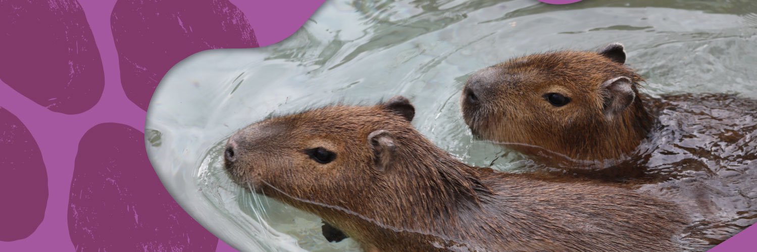 Edinburgh Zoo's banner
