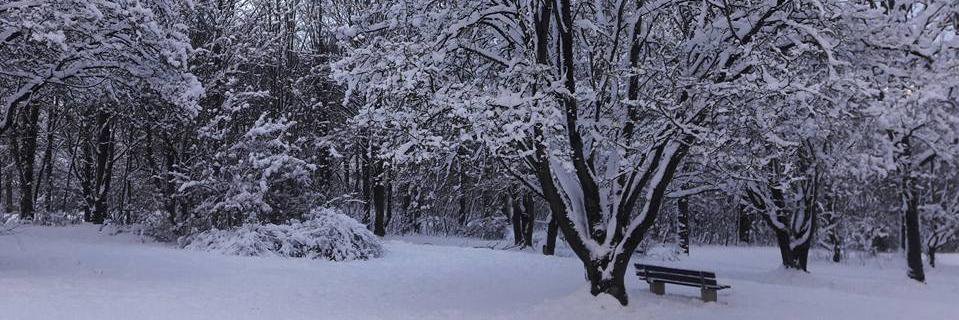 rache_De's profile banner image