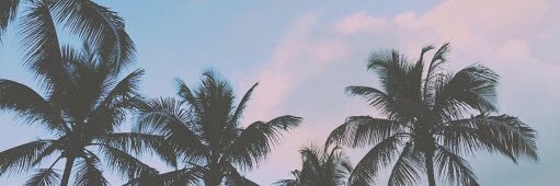 LeonAline's profile banner image
