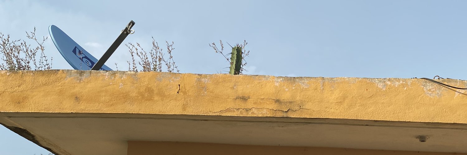PaoliCastillo15's profile banner image