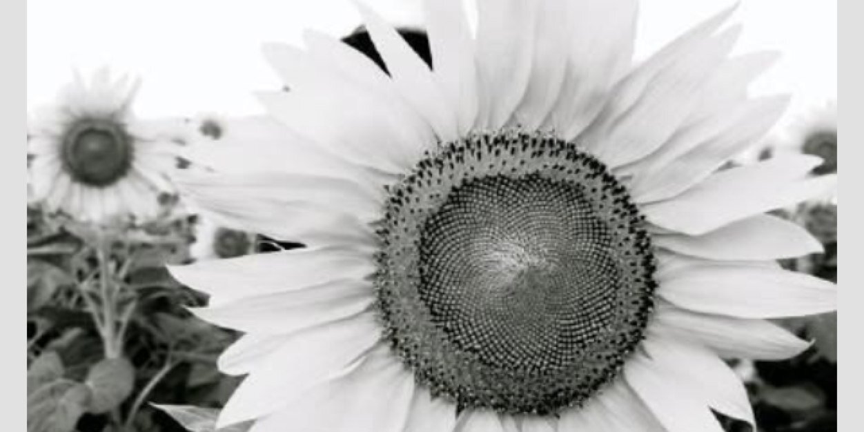 EricaMarie32's profile banner image