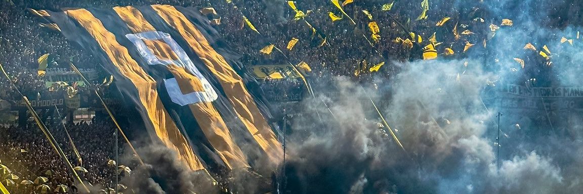 Ignacio Perez banner