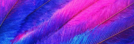 Miss_Swax's profile banner image
