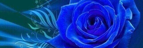 aaakf4331's profile banner image
