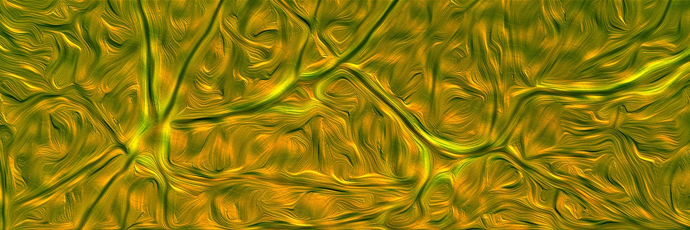 Timothy O'Leary banner