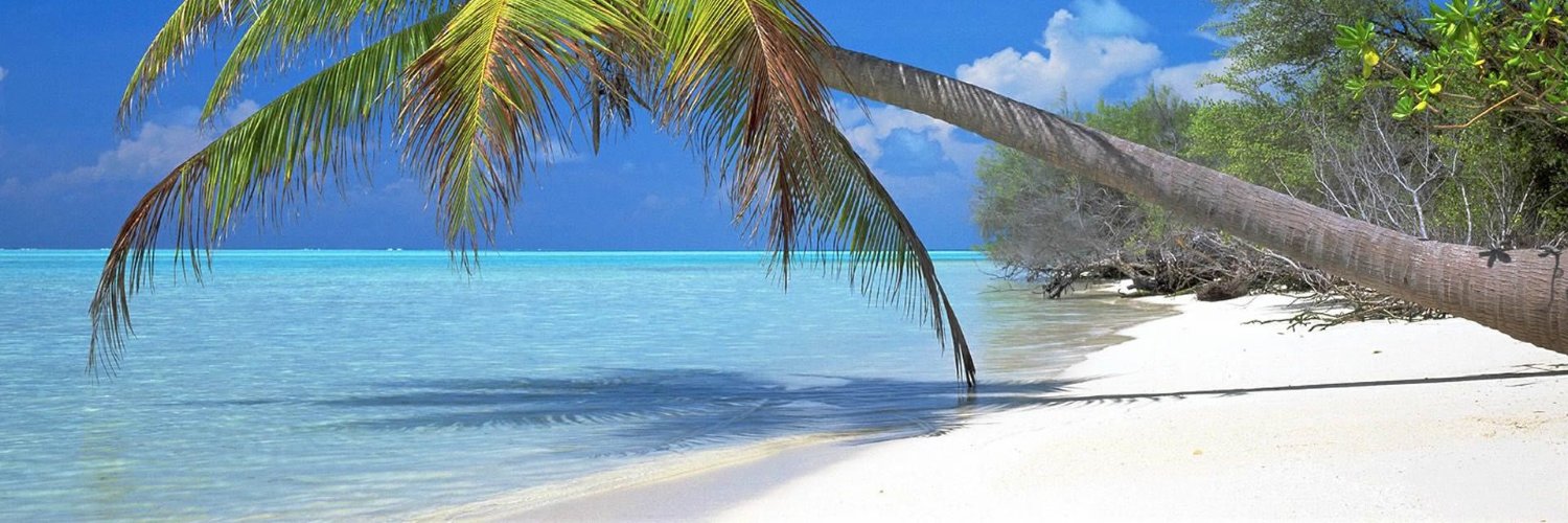 Mihali485's profile banner image