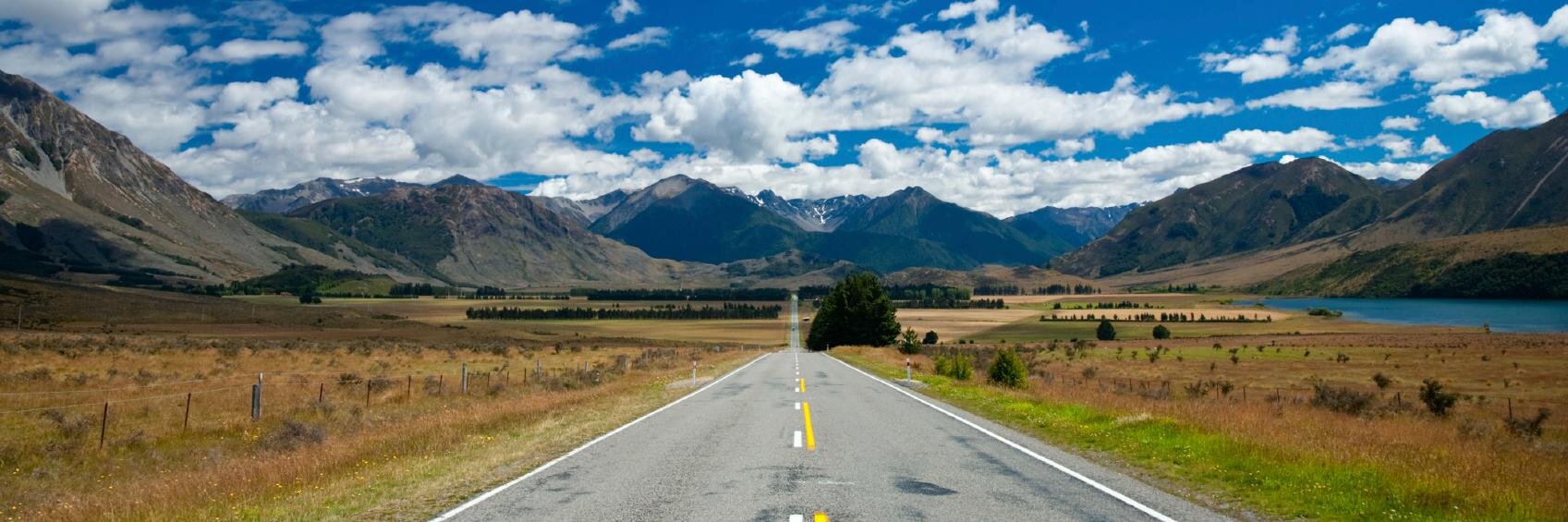 NZ Automobile Assoc. banner