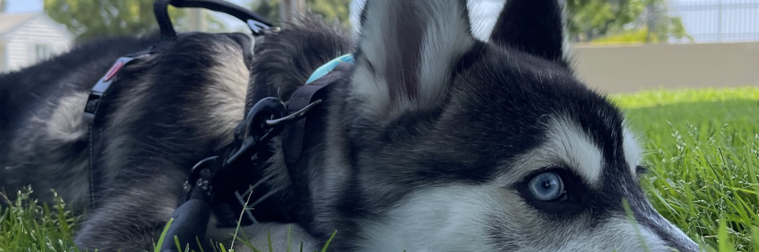 victxrgonzalez's profile banner image
