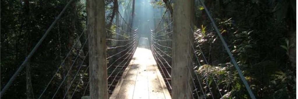 Syrius Lotti Junior banner