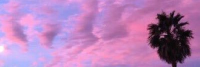 chanelelmslie's profile banner image