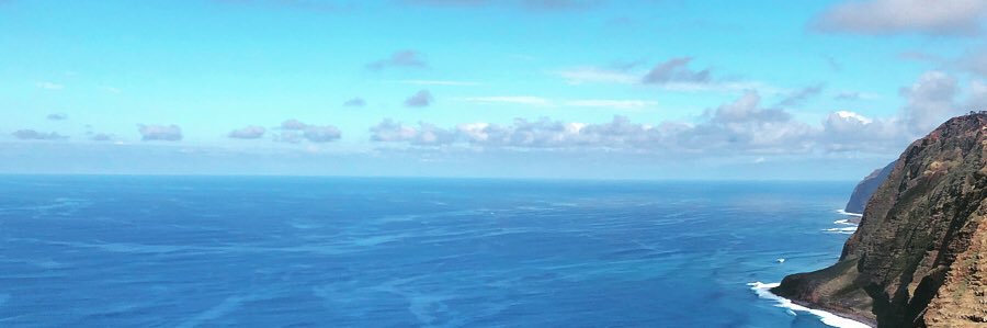 zedzima's profile banner image