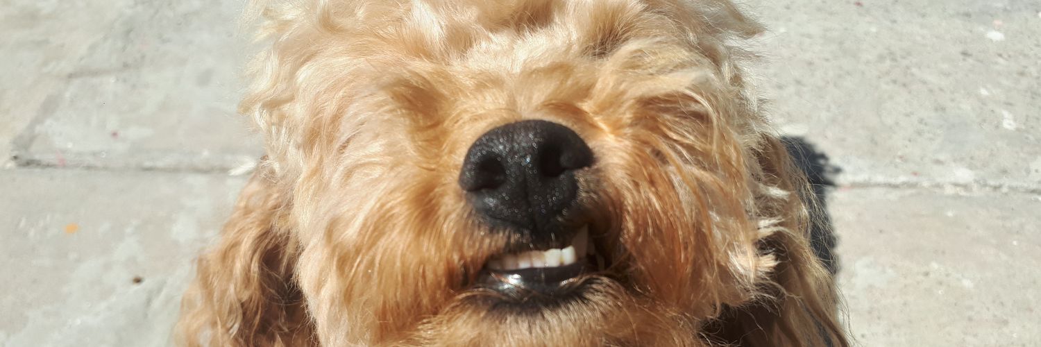 aguslihuen's profile banner image