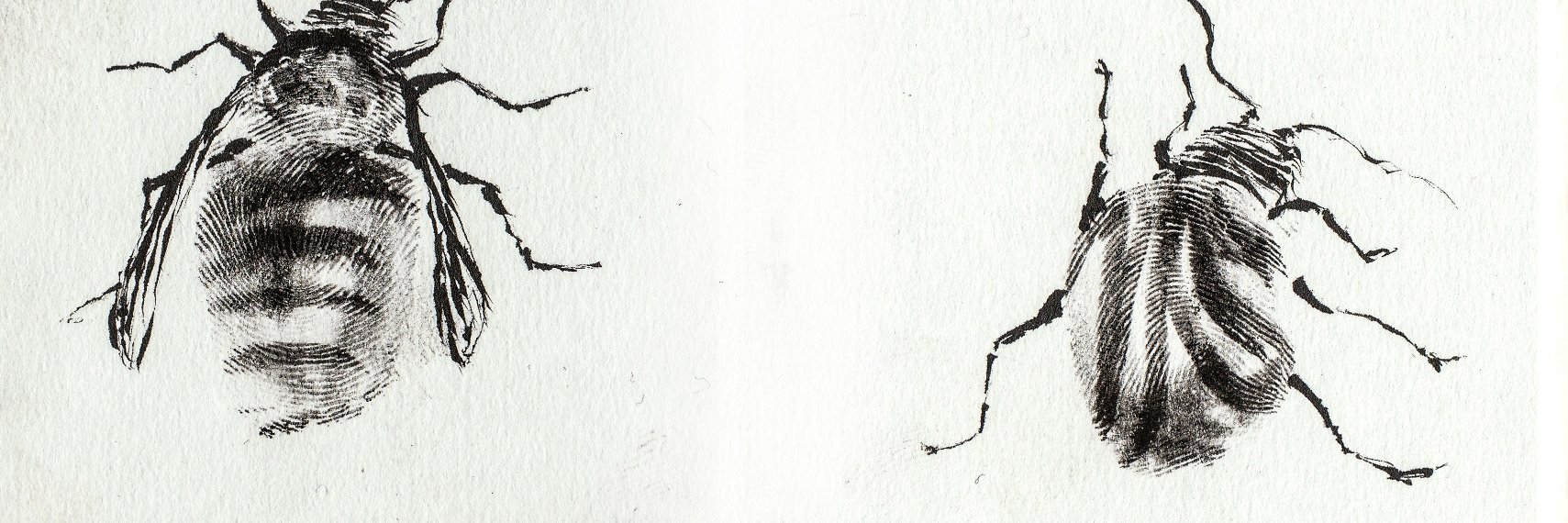 UnSquareStudio's profile banner image