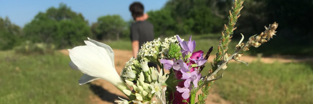 adriaisntcool's profile banner image