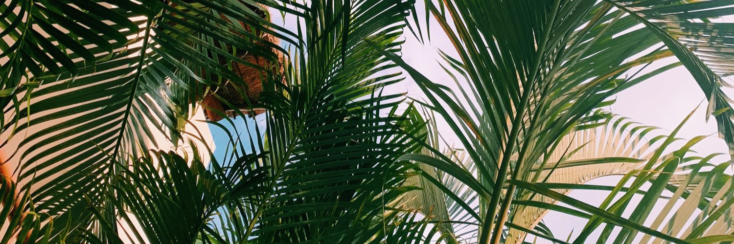 j0rdandaviss's profile banner image