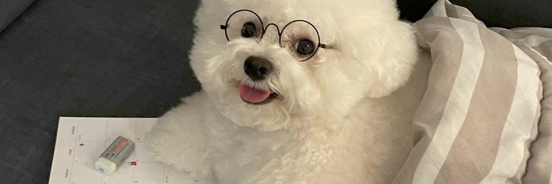 Rebrócolis™ banner