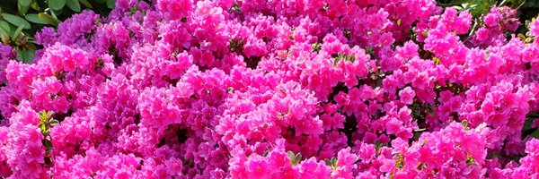 LukasEbert Profile Banner