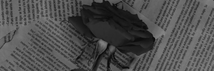 Eunice colombe banner