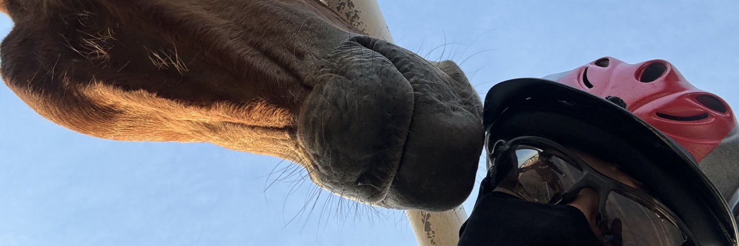 CaptBarbossa_'s profile banner image