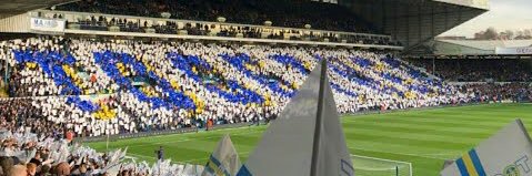 Alex Buckley banner