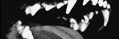 Binlacto's profile banner image