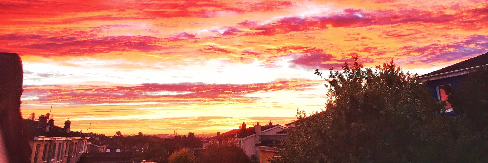 markowake's profile banner image