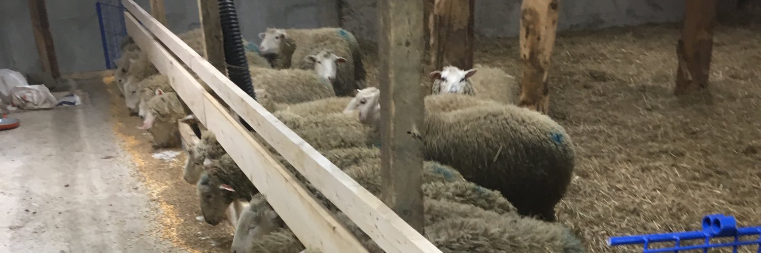 NursingTheFarm's profile banner image