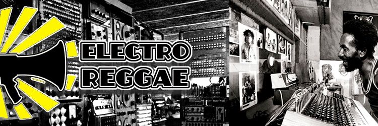 Electr0Reggae's profile banner image