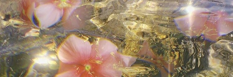 lilyhilliard's profile banner image