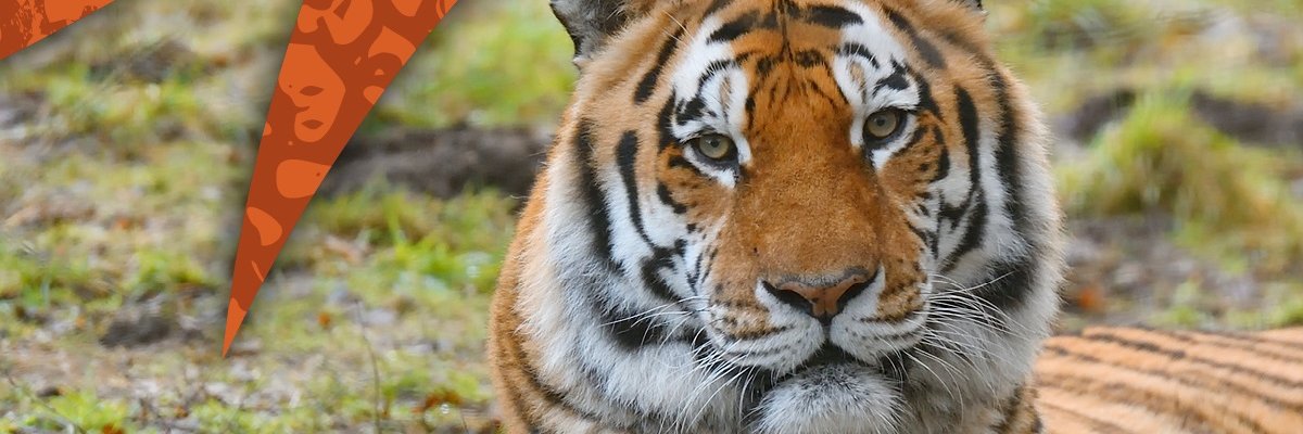 Highland Wildlife Park's banner