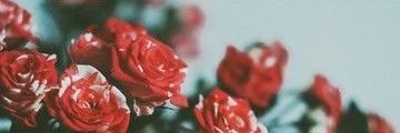 imgoin_to_hell's profile banner image