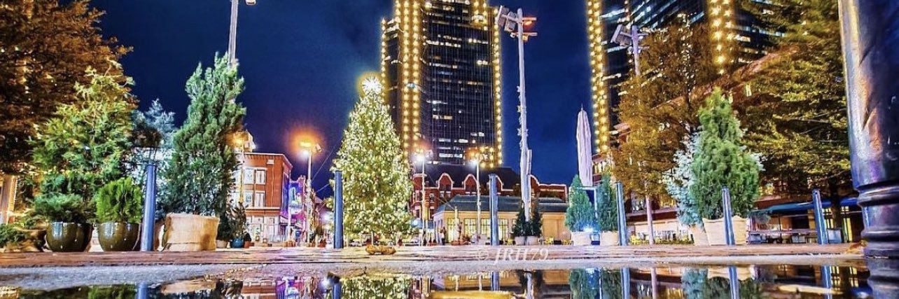 Karla J Meyer banner