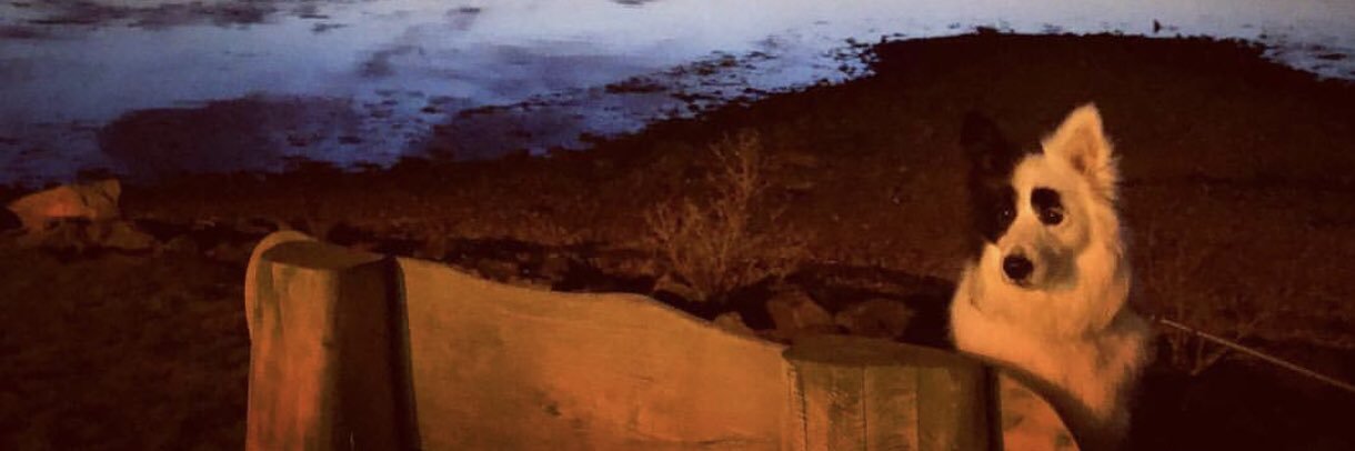 Scott stafford banner