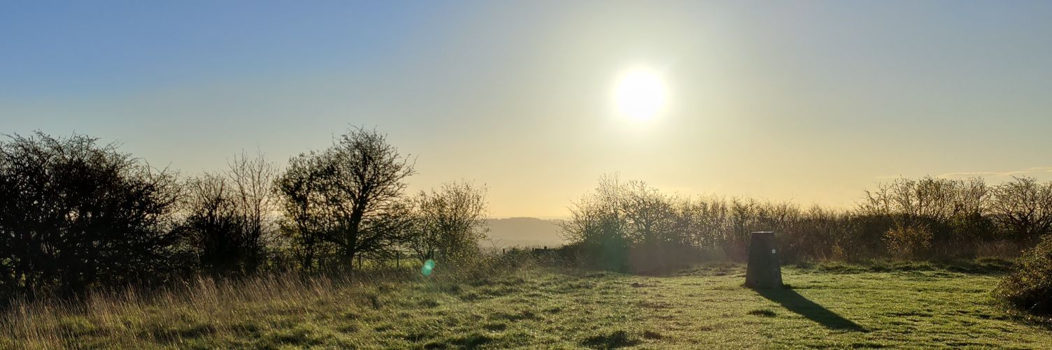 Mark Plant 💉x3💪🤓 flu💉x8 banner