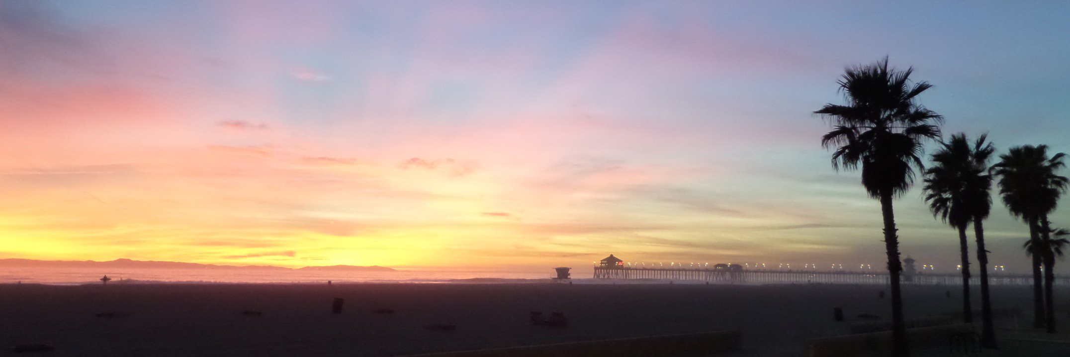 Jennifer De La Mare banner