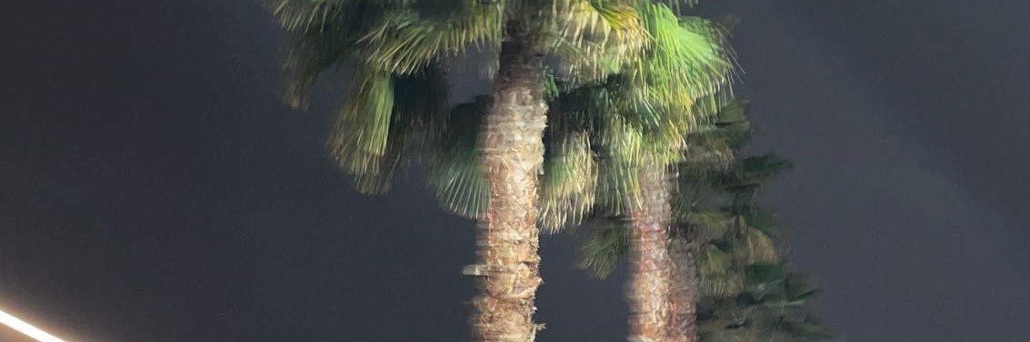 syeduhhh's profile banner image