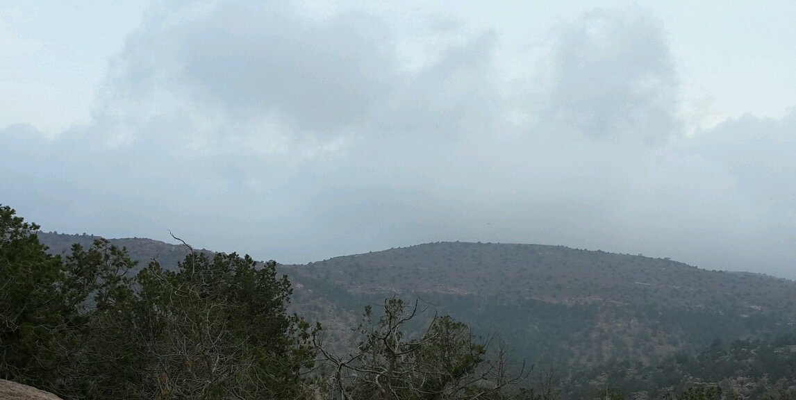 Shyoo5_3's profile banner image