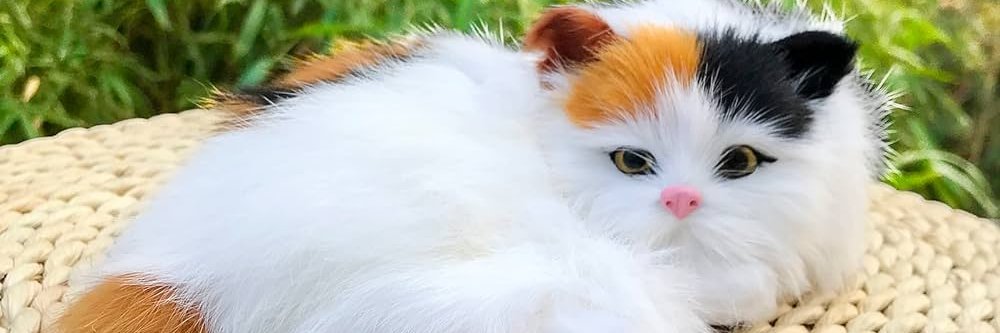 PeshrawHiwa's profile banner image