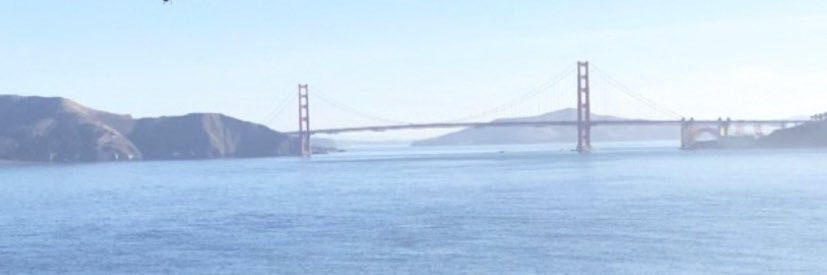 Chiippen's profile banner image