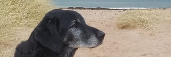 JillSteel Profile Banner
