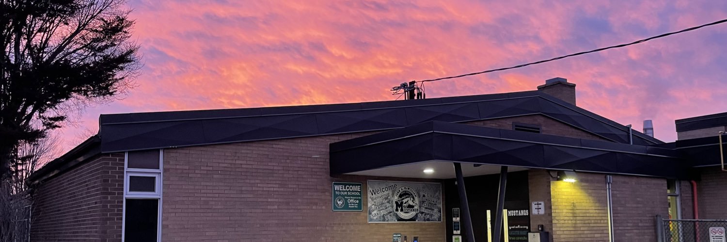 McWilliam Mustangs banner